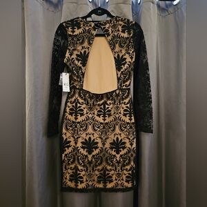 Open Back Lace Cut Dress